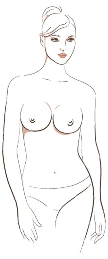 dessin femme seins rond