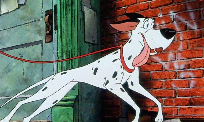 Dans Oliver et Compagnie Bongo des 101 Dalmatiens fait une apparition dans 18 détails que vous n'aviez jamais remarqué dans les dessins animés Disney ! Votez pour les plus surprenants !
